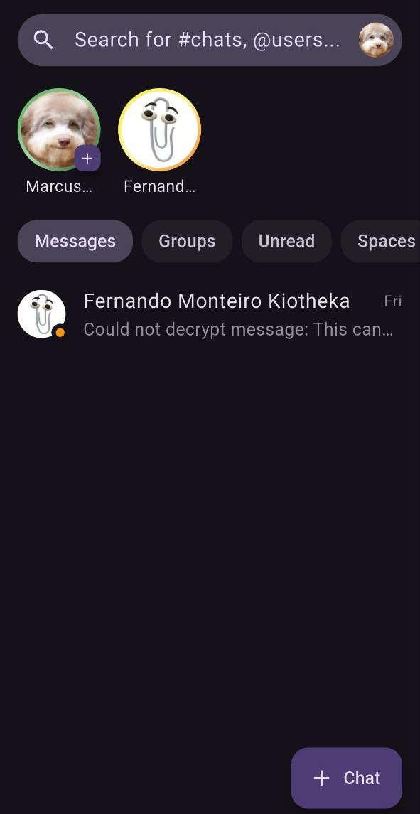 FluffyChat LoggedIn